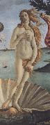 Sandro Botticelli The Birth of Venus (mk36) oil painting on canvas